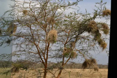 DSC_4123 (Large).JPG